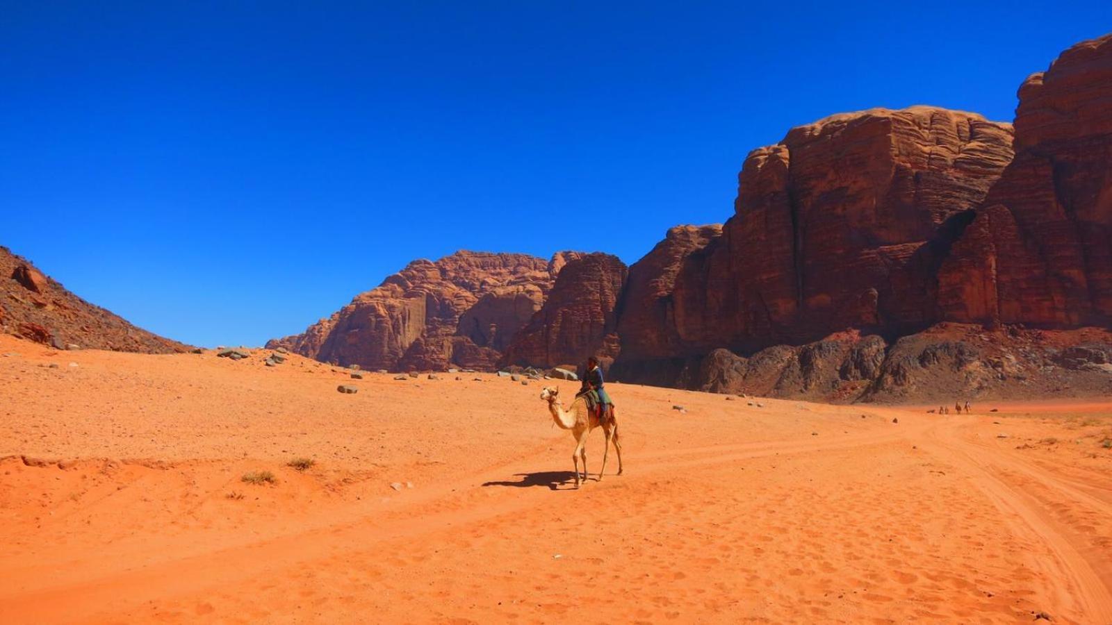 Wadi Rum Magic Nature Camp Luaran gambar