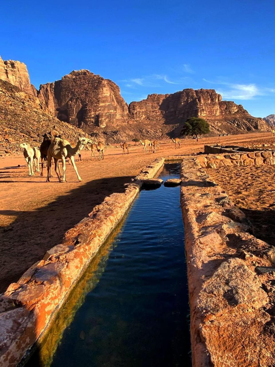 Wadi Rum Magic Nature Camp Luaran gambar